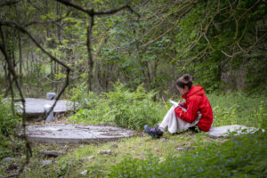 Formació i Cursos de Coaching | Centre Coaching Girona